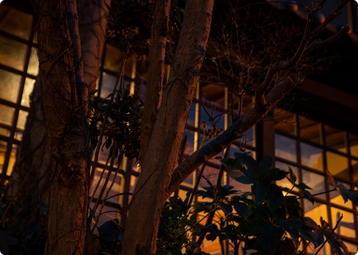 旅館 喜楽の共有スペース写真「木々のカーテンの隠れ家」
